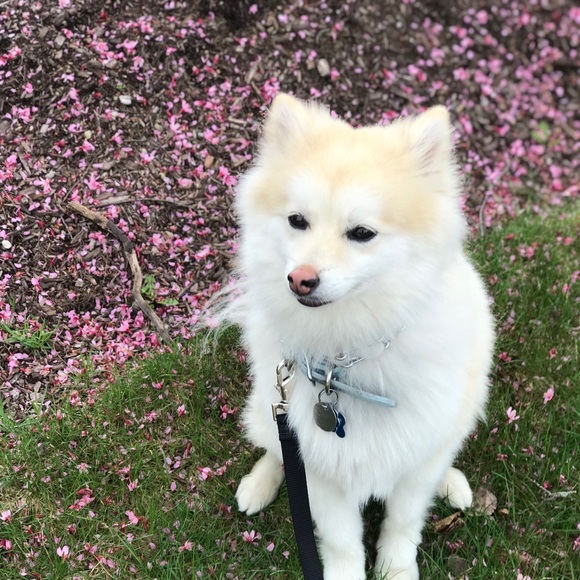 Meet your Posher, Valerie - Picture 6 of 6